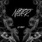 Picture for song 'Never "The Connect" (O.G. Prod.)' by artist 'O.G. Prod.'