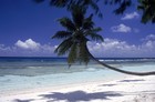 Picture for song 'Chillax' by artist 'Oli 2oo Beats'