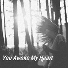 Picture for song 'You Awoke My Heart' by artist 'Ontological'