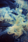 Picture for song 'Intergalactic Acid Trip' by artist 'Otis Arcade'