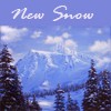 Picture for song 'New Snow' by artist 'Painted Water'
