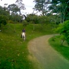 Picture for song 'Long, Hard Road' by artist 'PANARCHY'