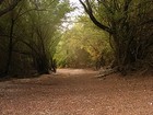 Picture for song 'Down The Road' by artist 'Paul C Williams'