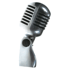 Picture for song 'B!tches All The Same' by artist 'PcR and Fire B'