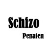 Picture for song 'Schizo Track 15' by artist 'Penaten'