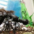 Picture for song 'World Runner' by artist 'Phil Osbourne and Dave Ruigrok'