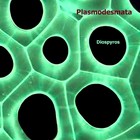 Picture for song 'Sentimental cheese acoustic' by artist 'Plasmodesmata'