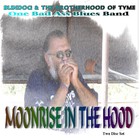 Picture for song 'The White Buffalo' by artist 'Pops Avila'