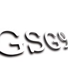 Picture for song 'GSG9' by artist 'president android'