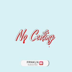 Picture for song 'No Ceiling' by artist 'DJ Franklin'