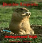 Picture for song 'Subterranean Ascension ft. Suazo' by artist 'Primitive Linguistix'