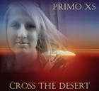 Picture for song 'Cross the desert' by artist 'Primo XS'
