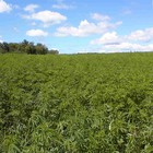 Picture for song 'Float To It' by artist 'P-Scat Beats'