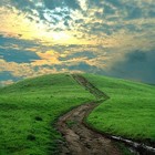 Picture for song 'Morning Light' by artist 'Psyilencer Beats'