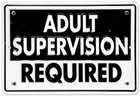 Picture for song 'Adult Supervision ( Bored outta ya Mind Mix)' by artist 'Pumphouse'