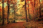 Picture for song 'Pureverb - October' by artist 'pureverb'