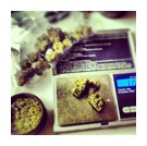 Picture for song '2. Brownies!' by artist 'Pyramid Music Group'