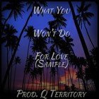 Picture for song 'What You Won't Do For Love (Prod. By Q Territory)' by artist 'Q Territory'