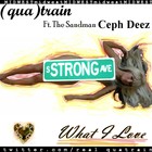 Picture for song 'What I Love Ft. Ceph' by artist 'quaTRAIN'