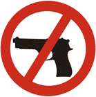 Picture for song 'Wishes and guns' by artist 'Rap Camp'