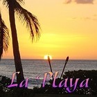 Picture for song 'La Playa (The Beach)' by artist 'Raul Abella'