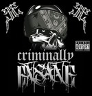 Picture for song 'RETALIATION ft~MR.SHADOW' by artist 'RIDER FROM ENSANE'