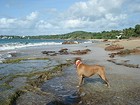 Picture for song 'Vieques' by artist 'Robin James'