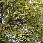 Picture for song 'Change in the Season - Rock' by artist 'Rock On Songs'