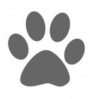 Picture for song 'Grey Old Dog' by artist 'ronalr'