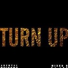 Picture for song '#TURNUP |FREE DL| RONTEDEVON' by artist 'RONTE DEVON'