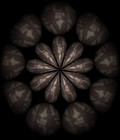 Picture for song 'Swamped In' by artist 'Ryan Daigle'