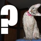 Picture for song 'UNKNOWN #3' by artist 'Scott R Jordan'