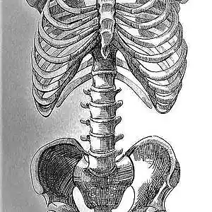 Picture for song 'Darkside' by artist 'Sesto'sClub'