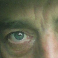 Picture for song 'LOVER GIRL' by artist 'SHANE TREACY AND THE SUNFLOWER MEN'