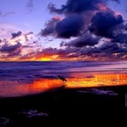 Picture for song 'Sunsets *BPM 155* SOLD' by artist 'Shaq D Music'