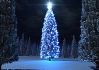Picture for song 'Lonely Christmas' by artist 'Sharma'