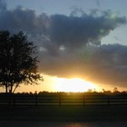 Picture for song 'After the Rain' by artist 'Shyler Ford'