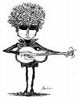 Picture for song 'Tangled Up in Bob' by artist 'Sidesaddle Cowboy'