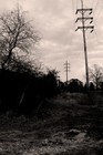 Picture for song 'Ceremony' by artist 'Sight of Sound'