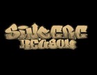 Picture for song 'Run It (Snippet)' by artist 'Sincere Reason'