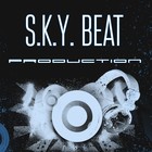Picture for song 'Voice of Urban (Free D/L)' by artist 'S.K.Y.Beat'