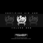 Picture for song 'Hard ta Run' by artist 'Skyzell'