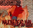 Picture for song 'Im wasted' by artist 'Slo Gin'