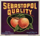 Picture for song 'Metaphors (Free Download)' by artist 'Small Town Beats'