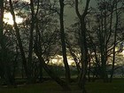 Picture for song 'Everwood' by artist 'Sojourn of the Mezmer'