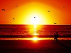 Picture for song 'Dripping' by artist 'Son Sound'