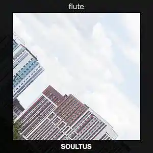 Picture for song 'Flute' by artist 'SOULTUS'