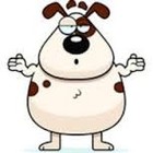 Picture for song 'Mr Grumbolds Obesity Diet for Dogs' by artist 'Spaceship Vicar'