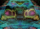 Picture for song 'Betrayed' by artist 'Weishaupt'