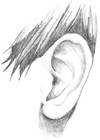 Picture for song 'the cure for ear cancer' by artist 'Stems'